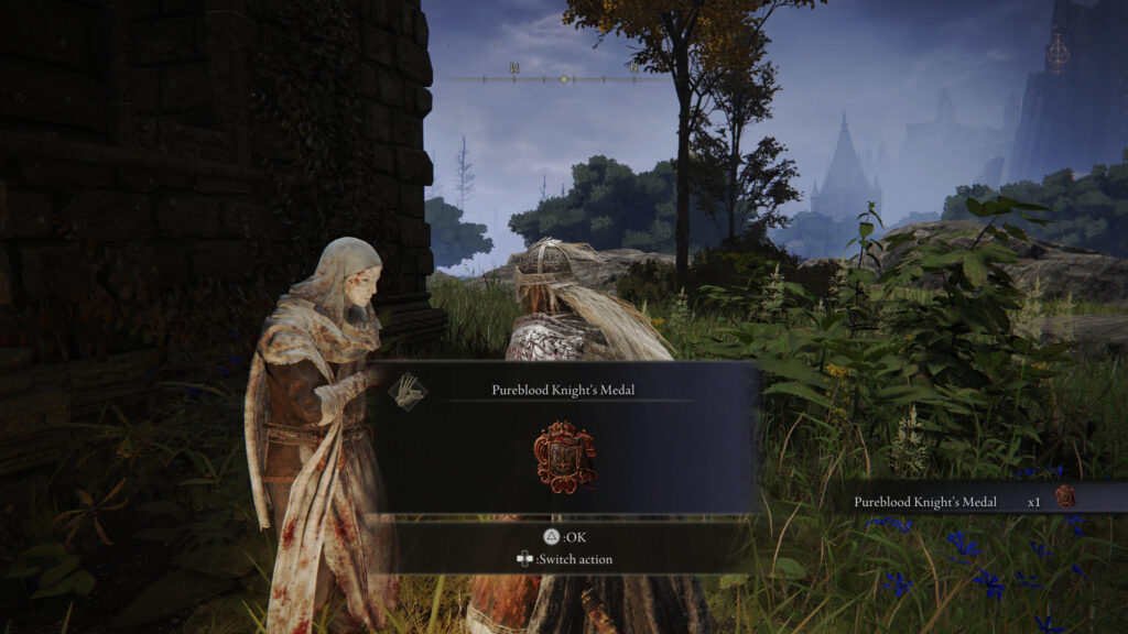 Pureblood Knight's Medal