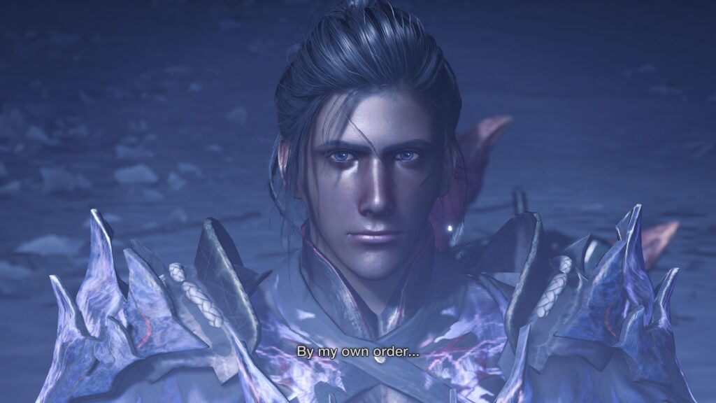 Monster Hunter Wilds Character