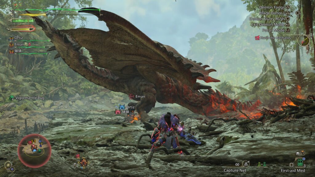 Monster Hunter Dragon